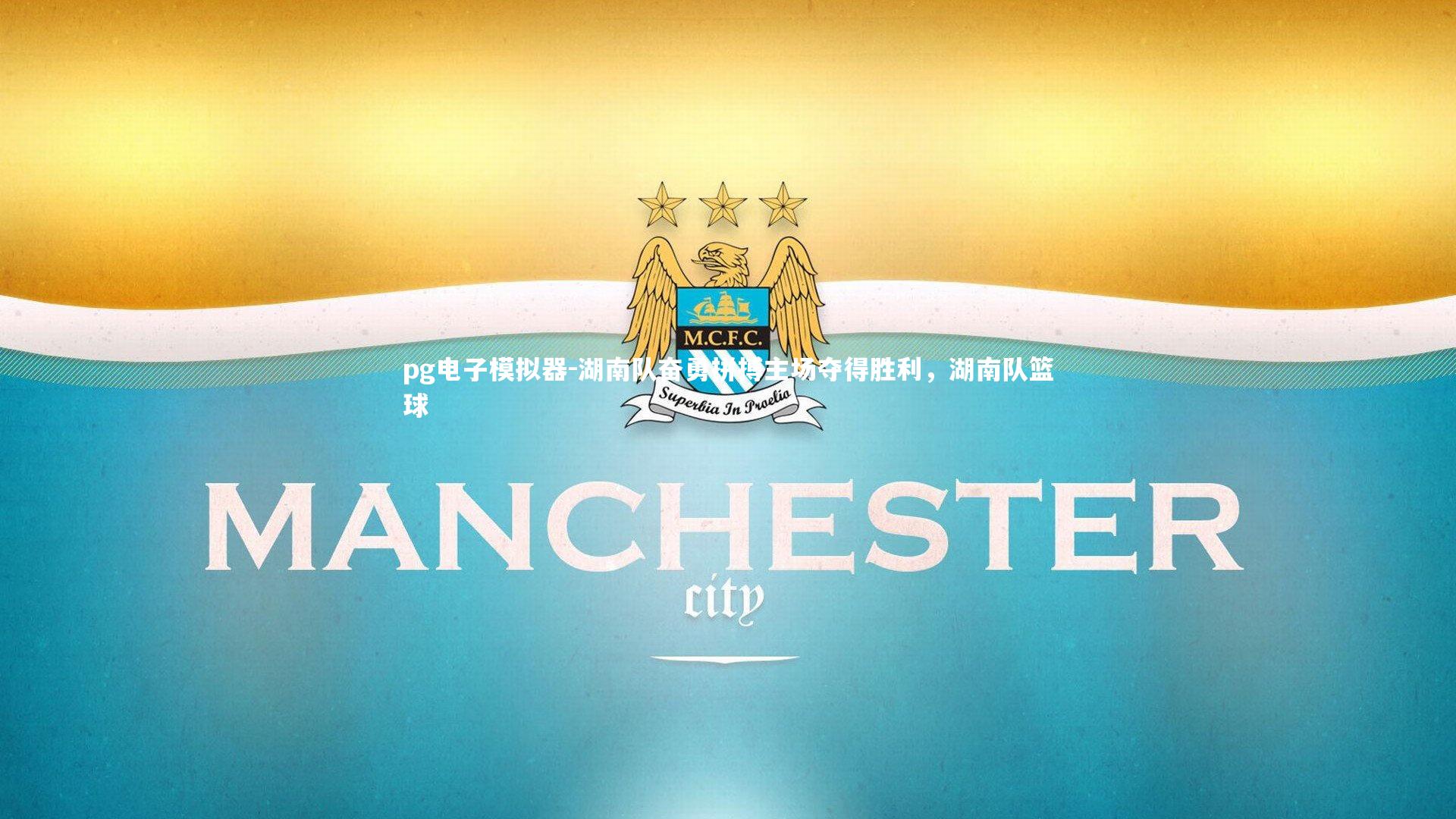 湖南队奋勇拼搏主场夺得胜利，湖南队篮球